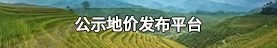 公示地价发布平台