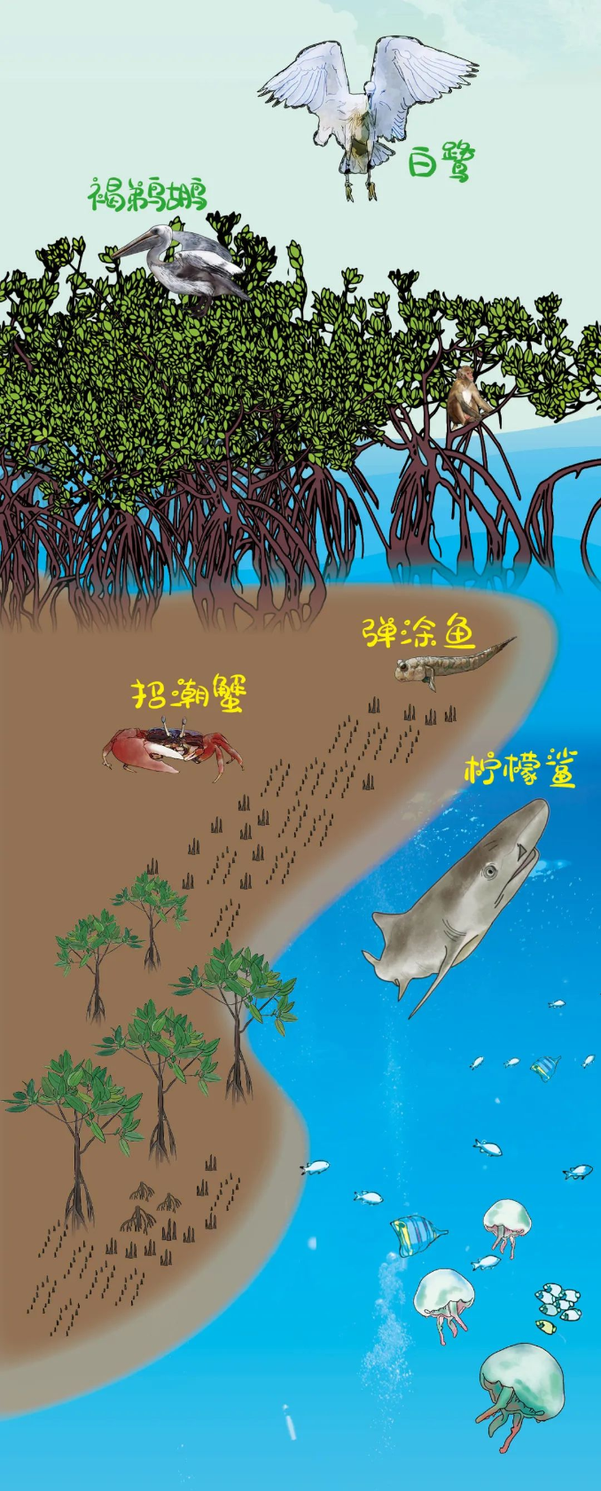 微信图片_20200610113325.jpg