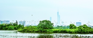 微信图片_20210423160633.jpg