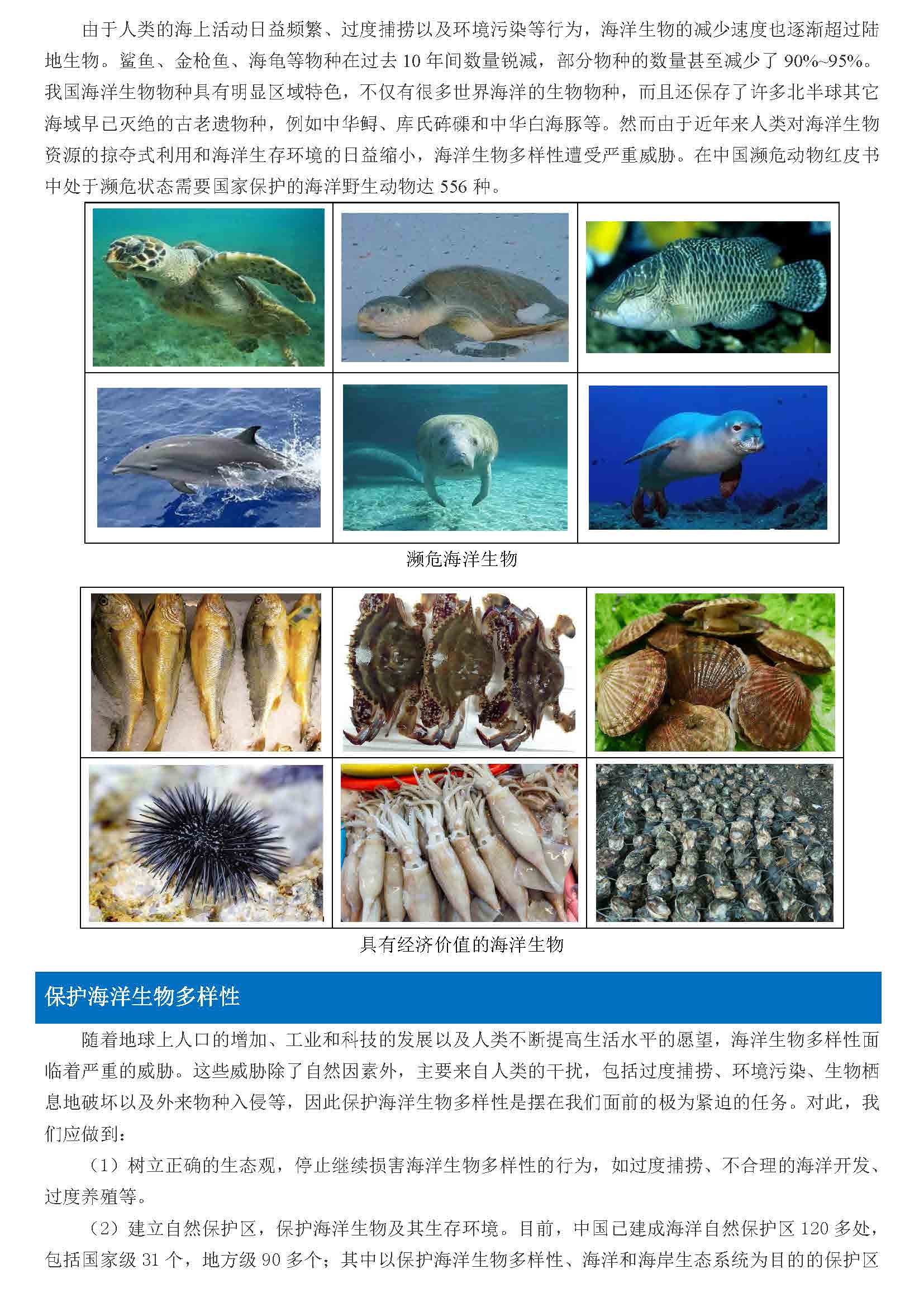 海洋生态-海洋生物多样性_页面_2.jpg