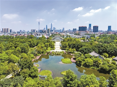 4523008_jiangyy_1587474085116_b.jpg