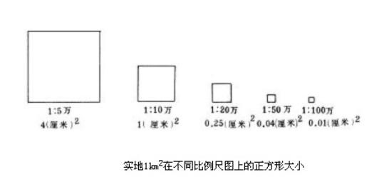 直线比例尺.jpg